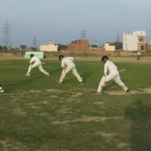 Vinus Cricket Academy