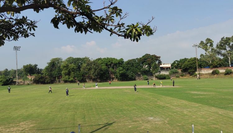 DC COLLAGE CRICKET ACADEMY IN DELHI