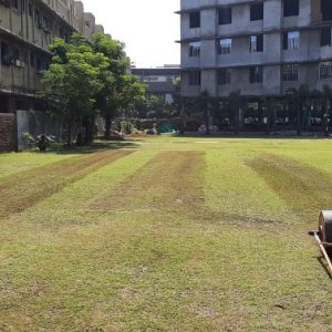Prashant Patil Cricket Academy