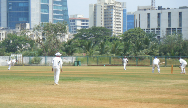 Cricket