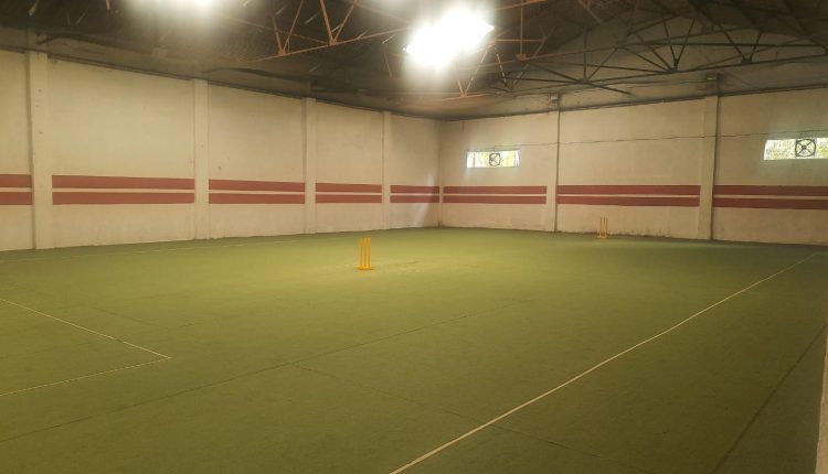 Gravity Ball Park Turf