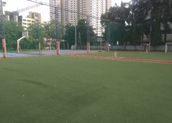 DSC Indoor Turf